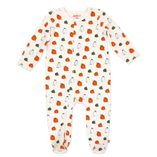 Load image into Gallery viewer, Pumpkin patch organic cotton footie